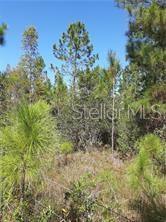 Photo of SALYERS ROAD, CLERMONT, FL 34714