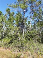 Photo of S FORK RANCH DRIVE, CLERMONT, FL 34714