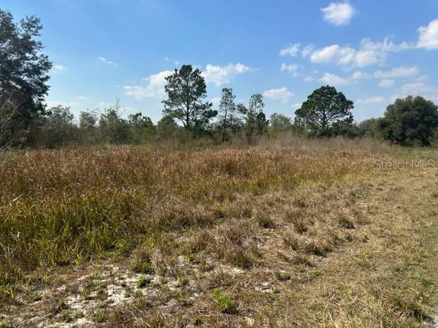 Photo of GREENGROVE BOULEVARD, CLERMONT, FL 34714