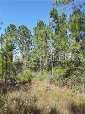 Photo of SALYERS ROAD, CLERMONT, FL 34714