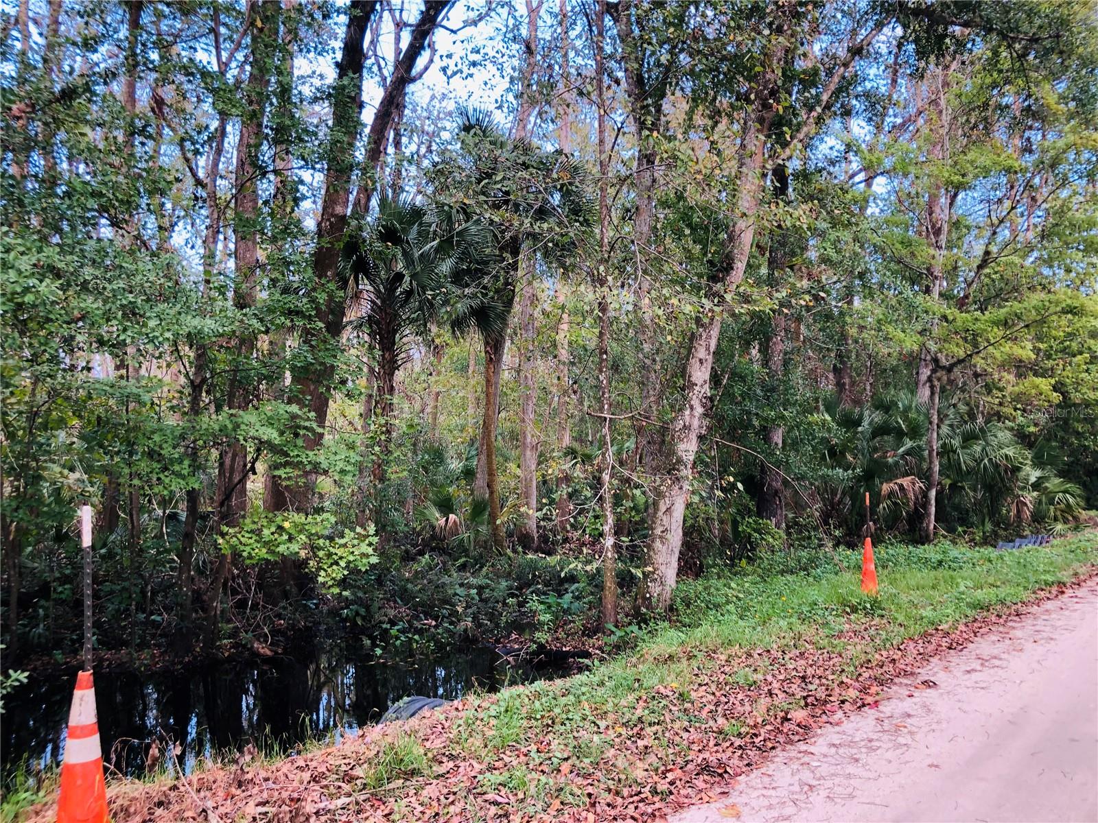 Photo of KEEFER TRAIL, KISSIMMEE, FL 34747