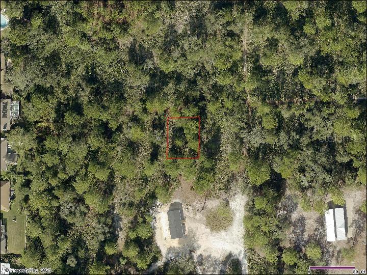 Photo of PARK FOREST BOULEVARD, MOUNT DORA, FL 32757