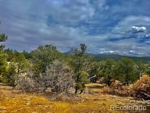Photo of 29870 County Rd 16, Trinidad, CO 81082
