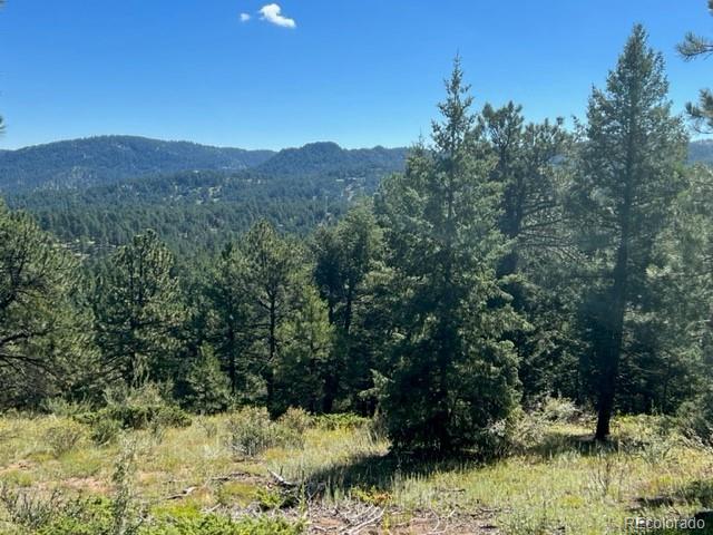Photo of 5895 Highway 73, Evergreen, CO 80439